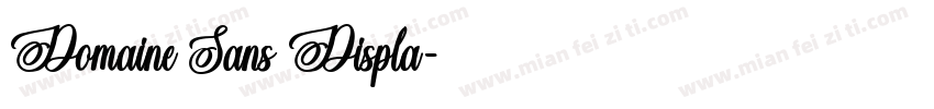 Domaine Sans Displa字体转换